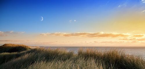 Coast