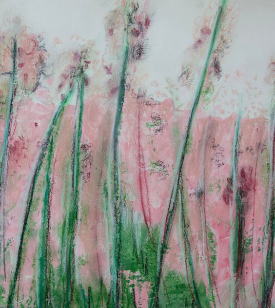 fleur rose prairie par Susanne A. Pasquay