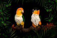 Kaiques im Dschungel von Elles Rijsdijk Miniaturansicht