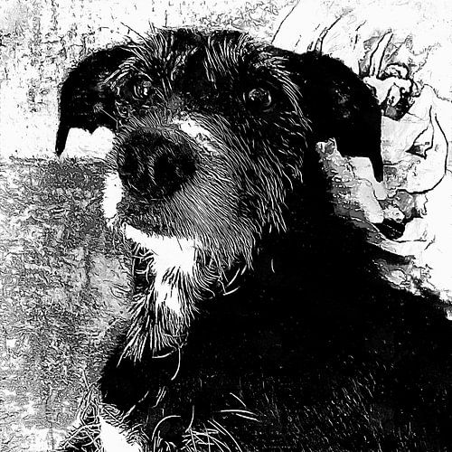 De leeftijd van wijsheid