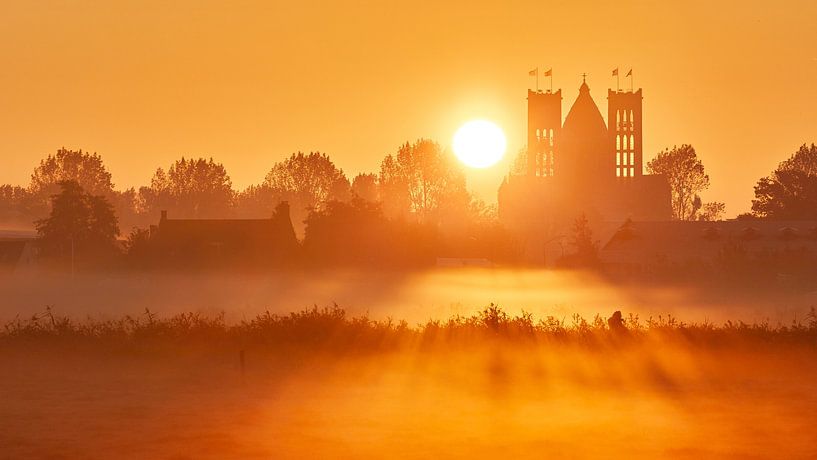 Goldener Morgen am Stadtrand von Haarlem (Version 2) von Harro Jansz