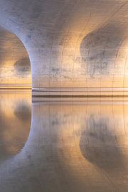 Spiegelwaal Nijmegen van Henk Kersten