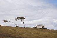 Maria Island hiking trails: Discover Tasmania's Wilderness by Ken Tempelers thumbnail