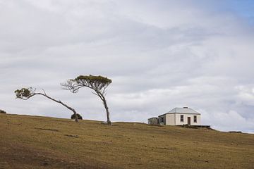 Wandelpaden van Maria Island: Ontdek Tasmanië's Wildernis van Ken Tempelers