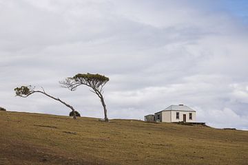 Maria Island hiking trails: Discover Tasmania's Wilderness