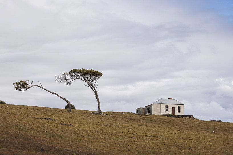 Maria Island hiking trails: Discover Tasmania's Wilderness by Ken Tempelers