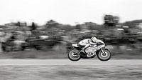 Johnny Cecotto 1975 TT Assen