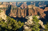 Grand Canyon north rim USA van Annette Schoof thumbnail