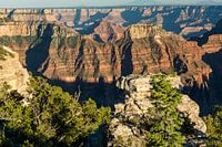 Grand Canyon north rim USA