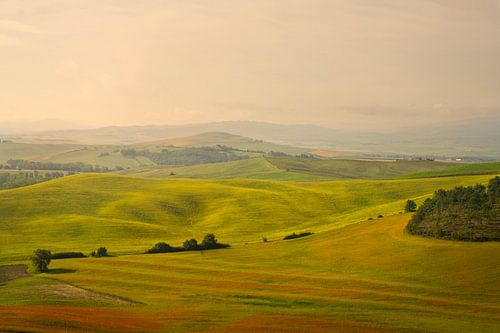 Ochtendmist boven Val d'Orcia, Toscane, Italië
