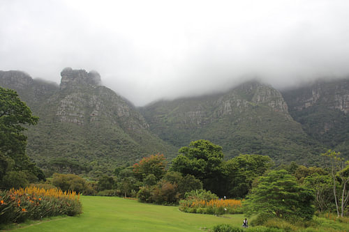 Mountains in the fog