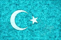 East Turkestan flag