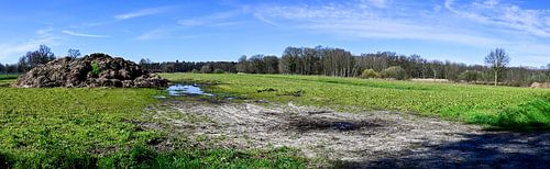 Valkenswaard: Het Adembenemende Panorama van Limburgse Pracht