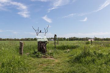 Groningen und Drenthe Veenkoloniën von Johan Mooibroek