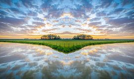 parabola by Zander Proost