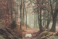 Autumn Posbank