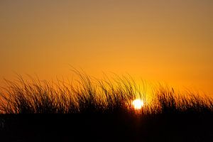 Sonnenuntergang auf dem Fischland-Darß in Prerow