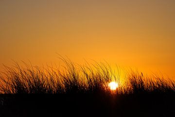 Sunset with dunes van Rico Ködder
