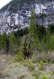 Out and about in the Karwendel – The striped mountainside by Helmut Martin - The Art of Stone - Steinkunst & Photographie