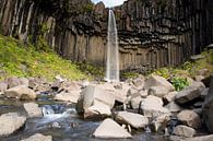 Svartifoss Wasserfall Island von Menno Schaefer Miniaturansicht