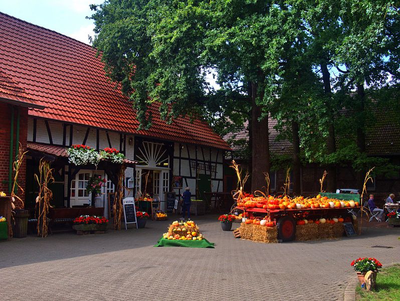 Boerderij van Edgar Schermaul