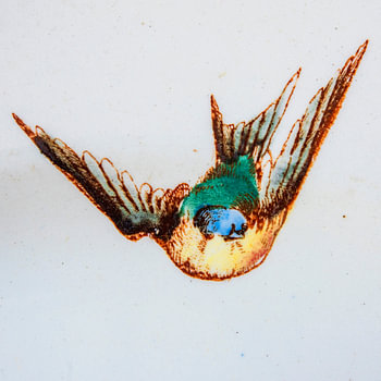 Französischer Teller Detail Vogel