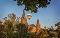 Parkstad Ballonfestival 2016 van John Kreukniet thumbnail