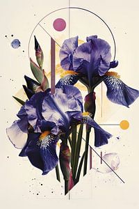 Irises - Iris artwork