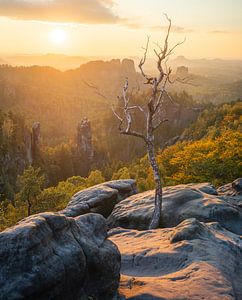 Sonnenuntergang auf dem Carolafelsen