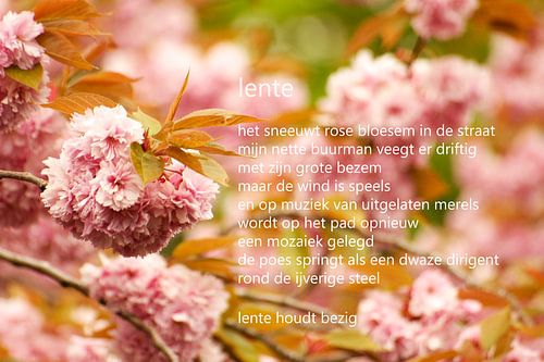 Prunus met gedicht van Bargo Kunst