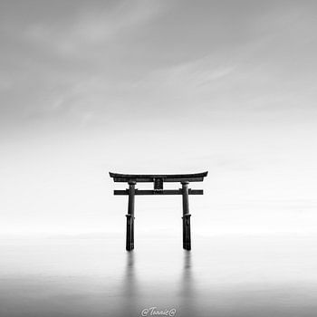 Shiharige-Schrein Torii