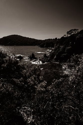 kustpracht met bergen en bomen in sepia
