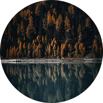 Moody herfstkleuren in de alpen. Bomen en bergmeer reflectie van Hidde Hageman