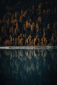 Moody herfstkleuren in de alpen. Bomen en bergmeer reflectie