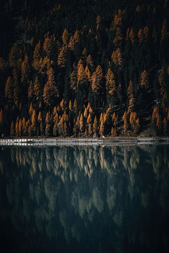 Moody autumn colors in the alps. Trees and mountain lake reflection