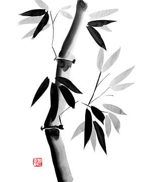 bamboe 02 van Péchane Sumie