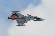 Saab Gripen van de Tsjechische Luchtmacht. van Jaap van den Berg thumbnail