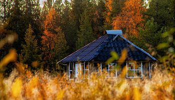 Nordische Wildnis mit Kotå – Schweden hautnah erleben