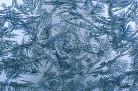 Tribal Ice #04 by Fabrizio Gallo