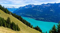 Brienzersee aus der Suggiture