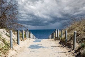Strandwandeling aan de Baltische Zee met stormwolken aan de horizon van Animaflora PicsStock