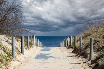 Strandweg an der Ostsee mit Gewitterwolken am Horizont von Animaflora PicsStock