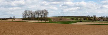 Extra Large panoramic view of  agriculture fields van Werner Lerooy