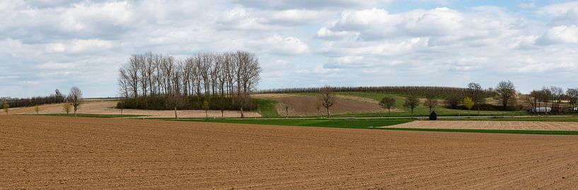 Extra Large panoramic view of agriculture fields by Werner Lerooy