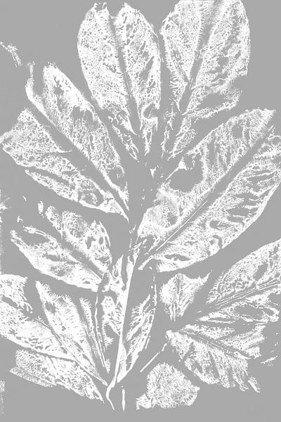 Abstract leaves in retro style. Modern botanical minimalist art in grey and white by Dina Dankers