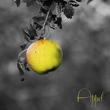 Apple-A von Yvonne Blokland