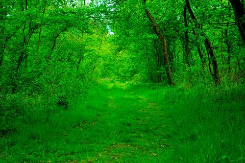 Monde vert