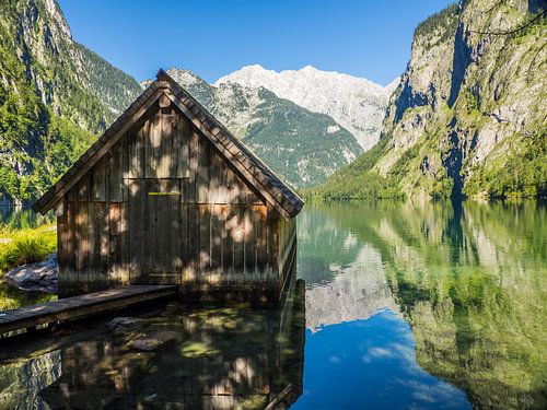 Alpenweide aan de Königssee in het Berchtesgadener Land