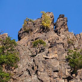 Felsen im  Bodetal von Torsten Krüger