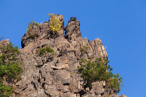 Felsen im  Bodetal von Torsten Krüger